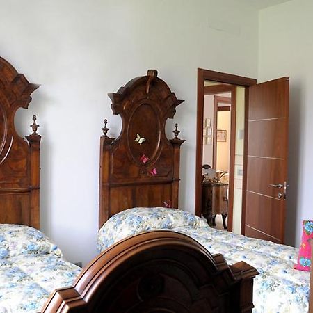 Il Coniglio Sulla Luna Erba Extérieur photo